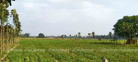 farmers of kapilvastu